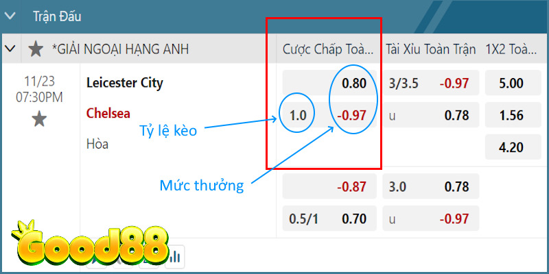 Ví dụ hình thức HDP